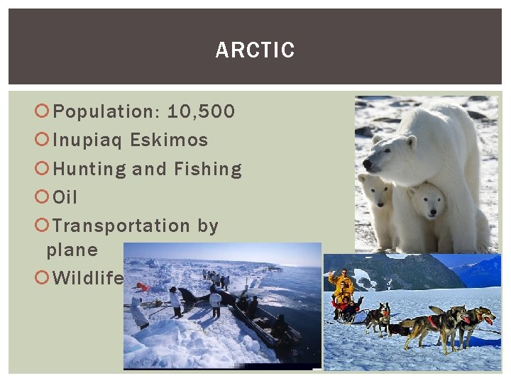 ARCTIC Population: 10, 500 Inupiaq Eskimos Hunting and Fishing Oil Transportation by plane Wildlife