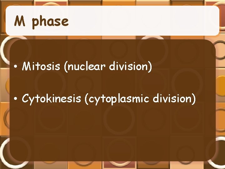 M phase • Mitosis (nuclear division) • Cytokinesis (cytoplasmic division) 