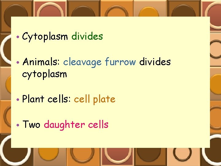  • Cytoplasm divides • Animals: cleavage furrow divides cytoplasm • Plant cells: cell