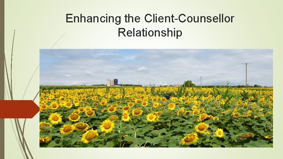 Enhancing the Client-Counsellor Relationship 