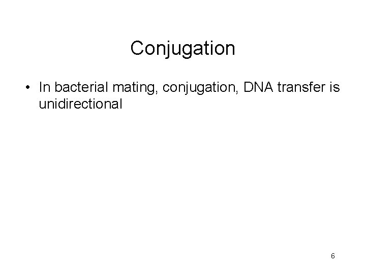 7 The Genetics of Bacteria and Their Viruses