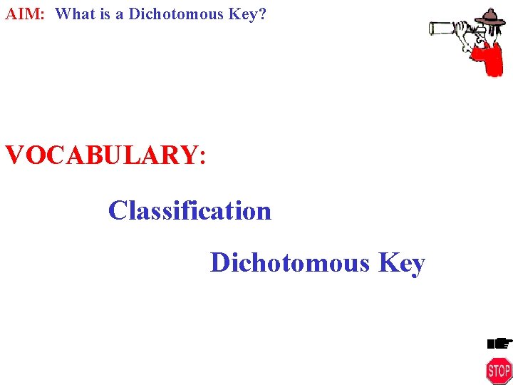 AIM: What is a Dichotomous Key? VOCABULARY: Classification Dichotomous Key 
