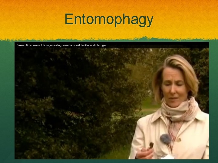 Entomophagy 