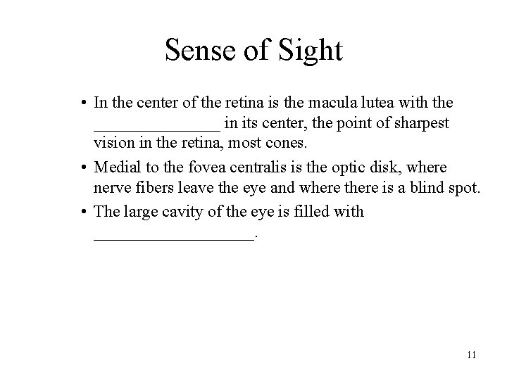 Sense of Sight • In the center of the retina is the macula lutea