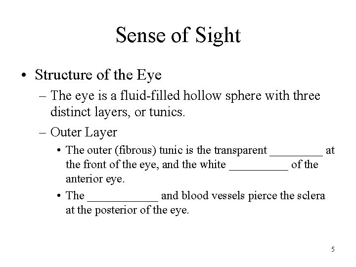 Sense of Sight • Structure of the Eye – The eye is a fluid-filled