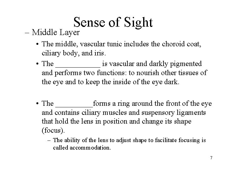 Sense of Sight – Middle Layer • The middle, vascular tunic includes the choroid