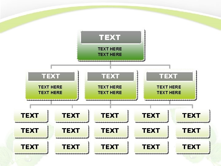 TEXT HERE TEXT TEXT HERE TEXT HERE TEXT TEXT TEXT TEXT 