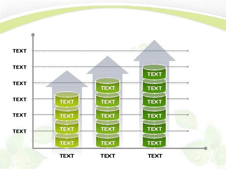 TEXT TEXT TEXT TEXT TEXT TEXT 