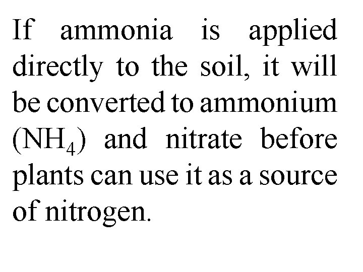 If ammonia is applied directly to the soil, it will be converted to ammonium