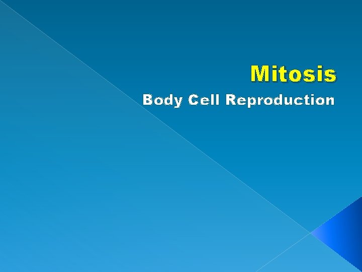 Mitosis Body Cell Reproduction 