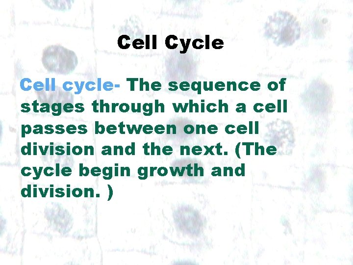 Cell Cycle Cell cycle- The sequence of stages through which a cell passes between