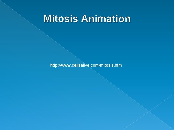 Mitosis Animation http: //www. cellsalive. com/mitosis. htm 