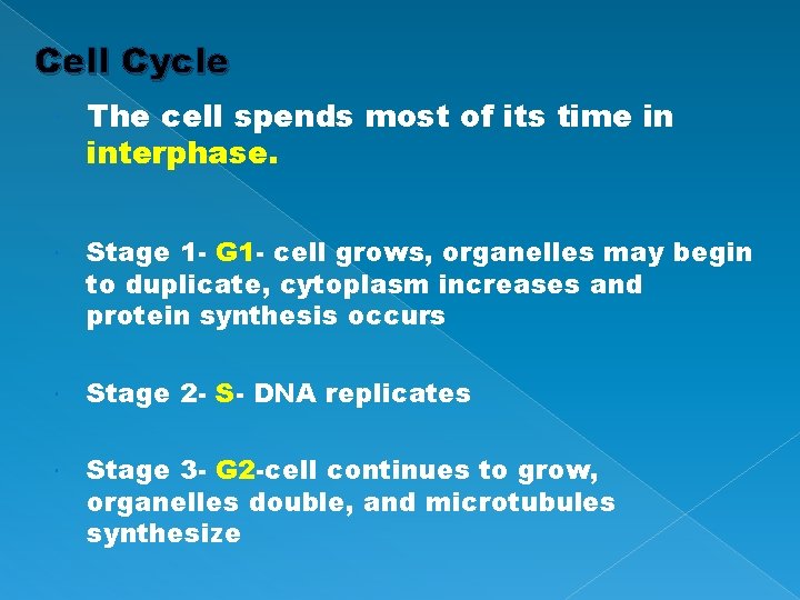 Cell Cycle The cell spends most of its time in interphase. Stage 1 -