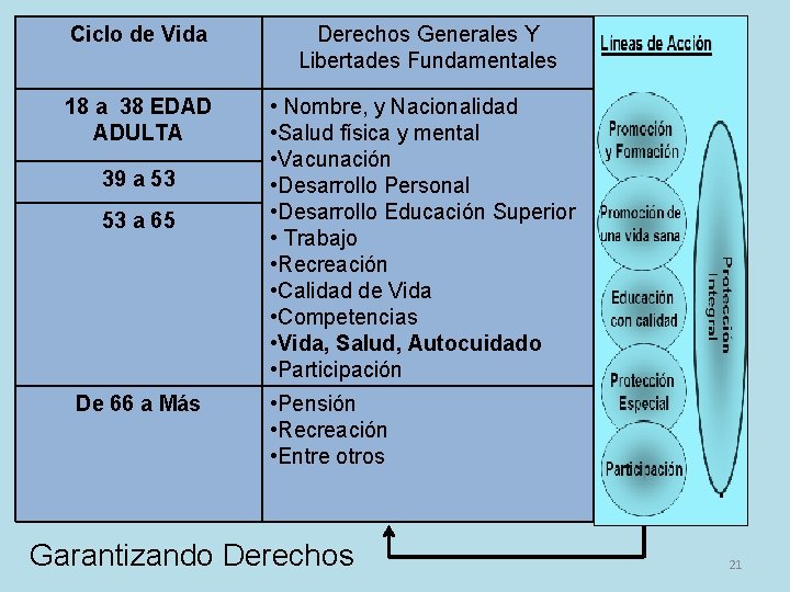 Ciclo de Vida Derechos Generales Y Libertades Fundamentales 18 a 38 EDAD ADULTA •