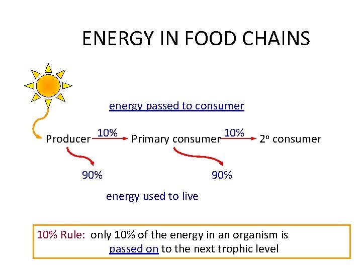 ENERGY IN FOOD CHAINS energy passed to consumer Producer 10% Primary consumer 10% 90%