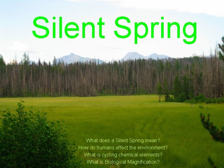 Silent Spring What does a Silent Spring mean? How do humans effect the environment?