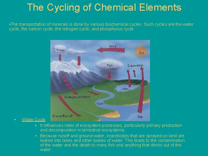 The Cycling of Chemical Elements • The transportation of minerals is done by various