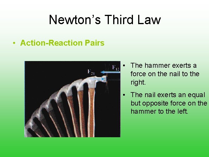 Newton’s Third Law • Action-Reaction Pairs • The hammer exerts a force on the