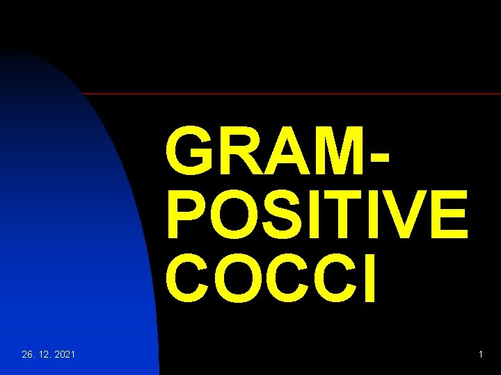 GRAMPOSITIVE COCCI 26. 12. 2021 1 