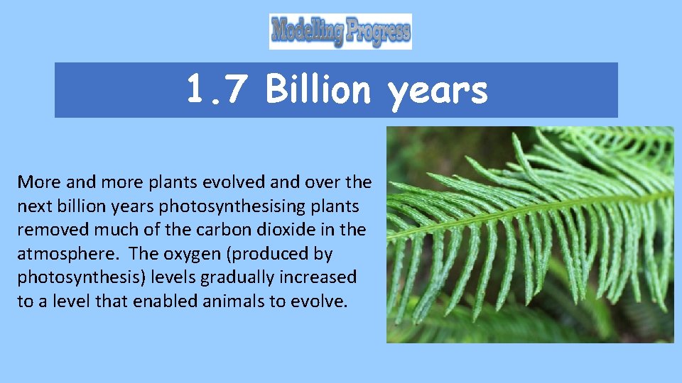 1. 7 Billion years More and more plants evolved and over the next billion 1. 7 Billion years More and more plants evolved and over the next billion