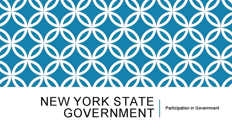 NEW YORK STATE GOVERNMENT Participation in Government 