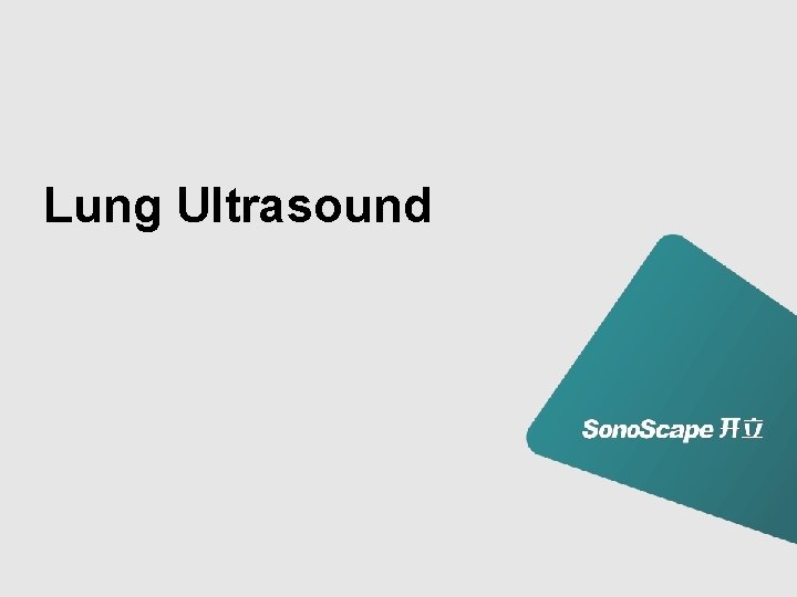 Lung Ultrasound 