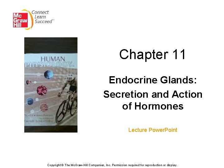 Chapter 11 Endocrine Glands: Secretion and Action of Hormones Lecture Power. Point Copyright ©