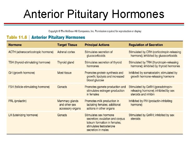 Anterior Pituitary Hormones 