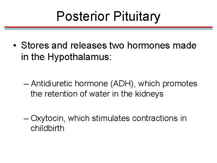 Posterior Pituitary • Stores and releases two hormones made in the Hypothalamus: – Antidiuretic