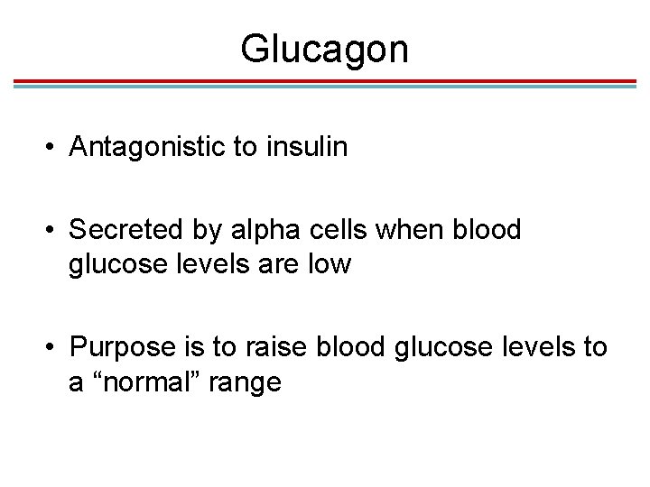 Glucagon • Antagonistic to insulin • Secreted by alpha cells when blood glucose levels