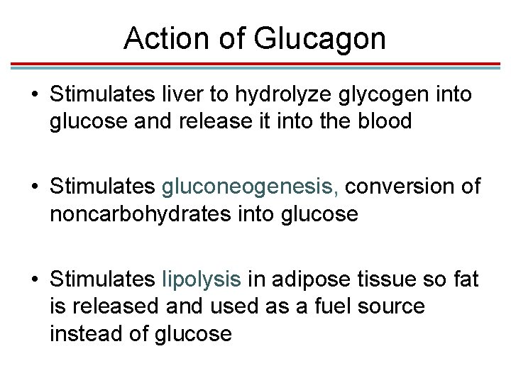 Action of Glucagon • Stimulates liver to hydrolyze glycogen into glucose and release it