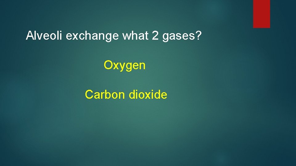 Alveoli exchange what 2 gases? Oxygen Carbon dioxide 