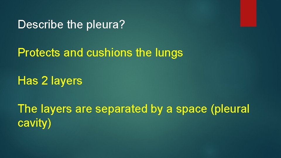 Describe the pleura? Protects and cushions the lungs Has 2 layers The layers are