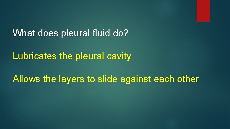 What does pleural fluid do? Lubricates the pleural cavity Allows the layers to slide