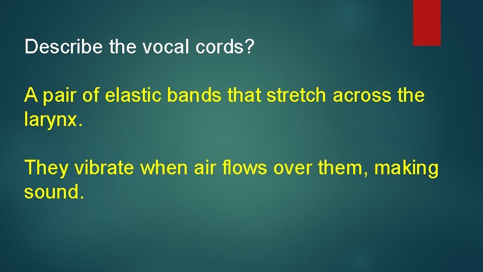 Describe the vocal cords? A pair of elastic bands that stretch across the larynx.