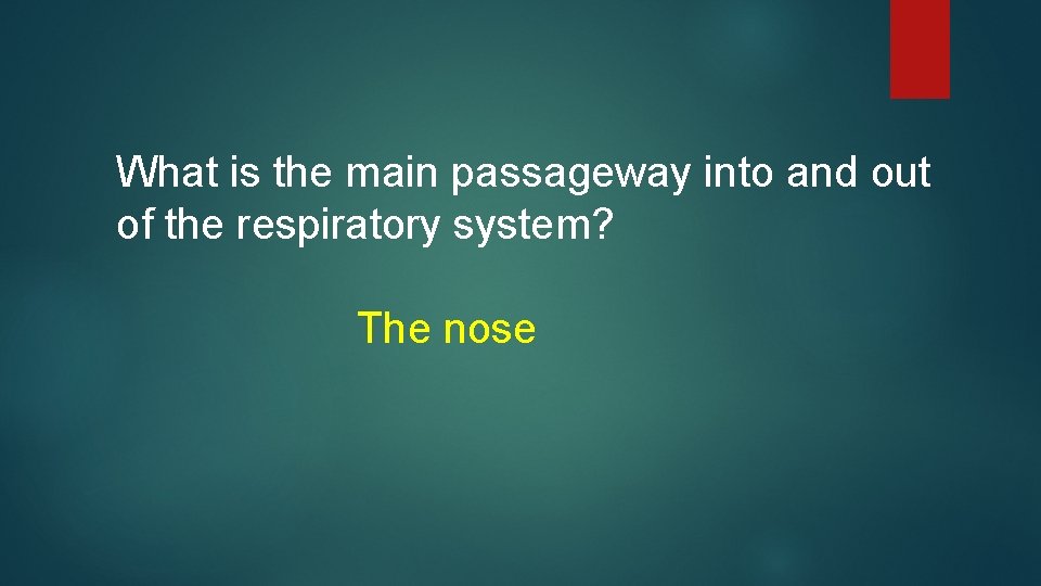 What is the main passageway into and out of the respiratory system? The nose