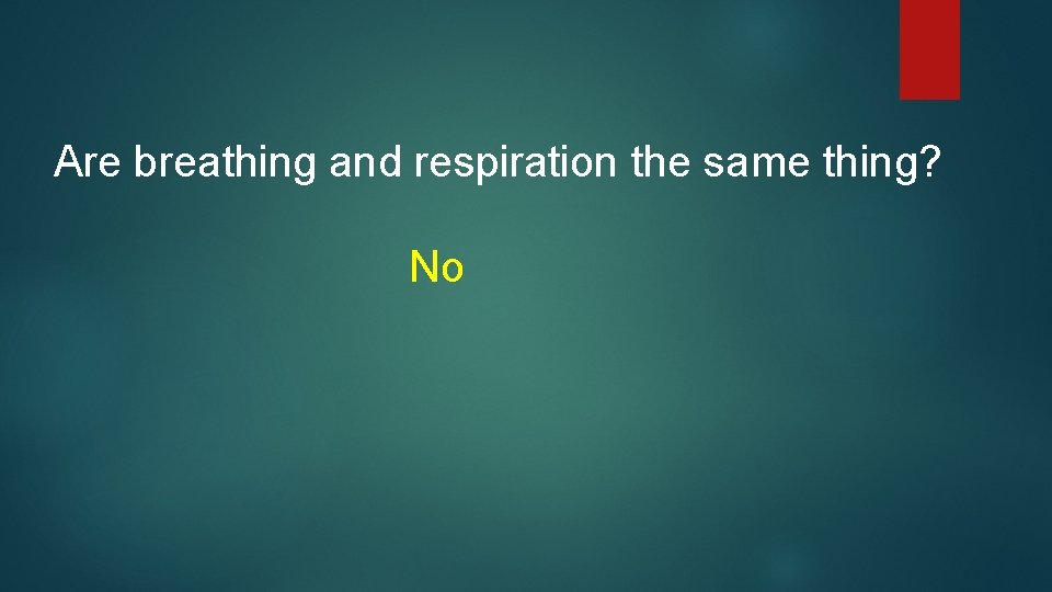 Are breathing and respiration the same thing? No 