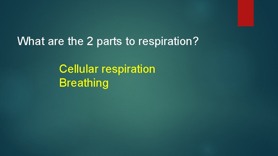 What are the 2 parts to respiration? Cellular respiration Breathing 