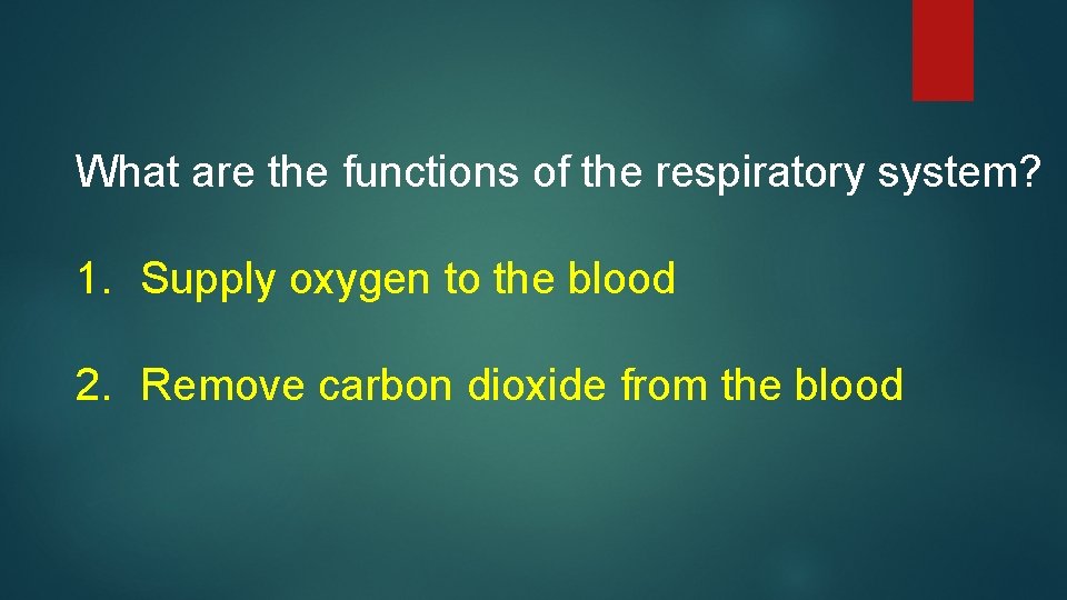 What are the functions of the respiratory system? 1. Supply oxygen to the blood