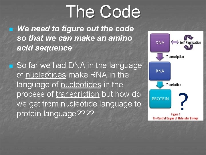 The Code n We need to figure out the code so that we can