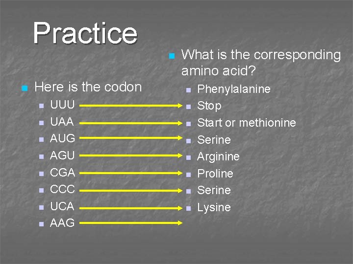 Practice n n Here is the codon n n n n UUU UAA AUG