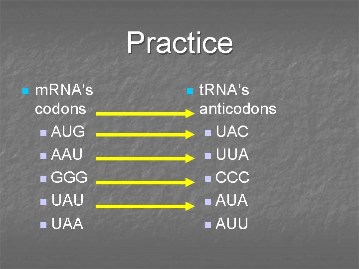 Practice n m. RNA’s codons n AUG n AAU n GGG n UAU n