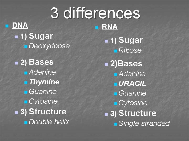 3 differences n DNA n 1) Sugar n Deoxyribose n n 2) Bases n