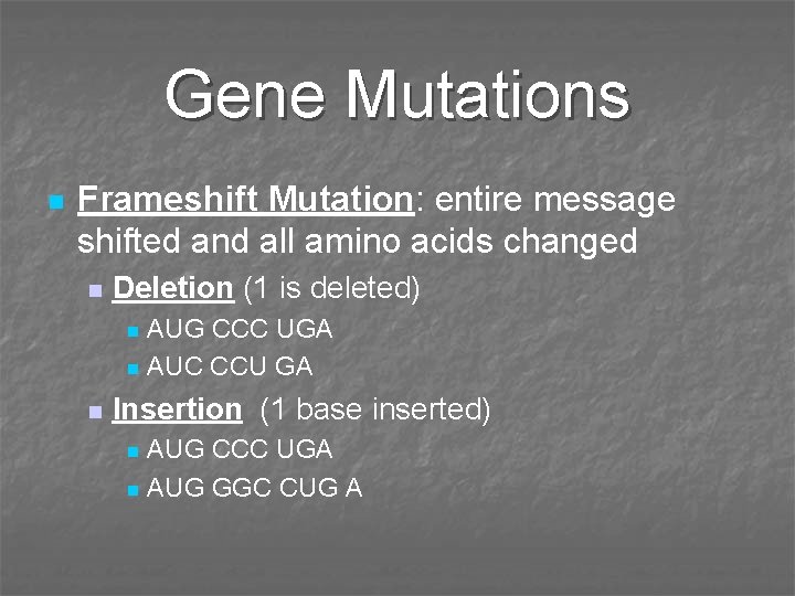 Gene Mutations n Frameshift Mutation: entire message shifted and all amino acids changed n