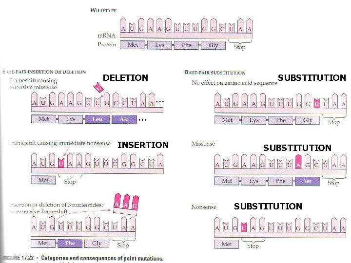 DELETION INSERTION SUBSTITUTION 