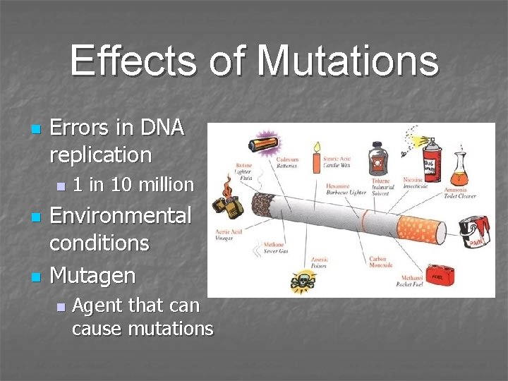 Effects of Mutations n Errors in DNA replication n 1 in 10 million Environmental Effects of Mutations n Errors in DNA replication n 1 in 10 million Environmental