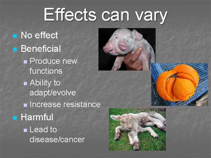 Effects can vary n n No effect Beneficial n n Produce new functions Ability