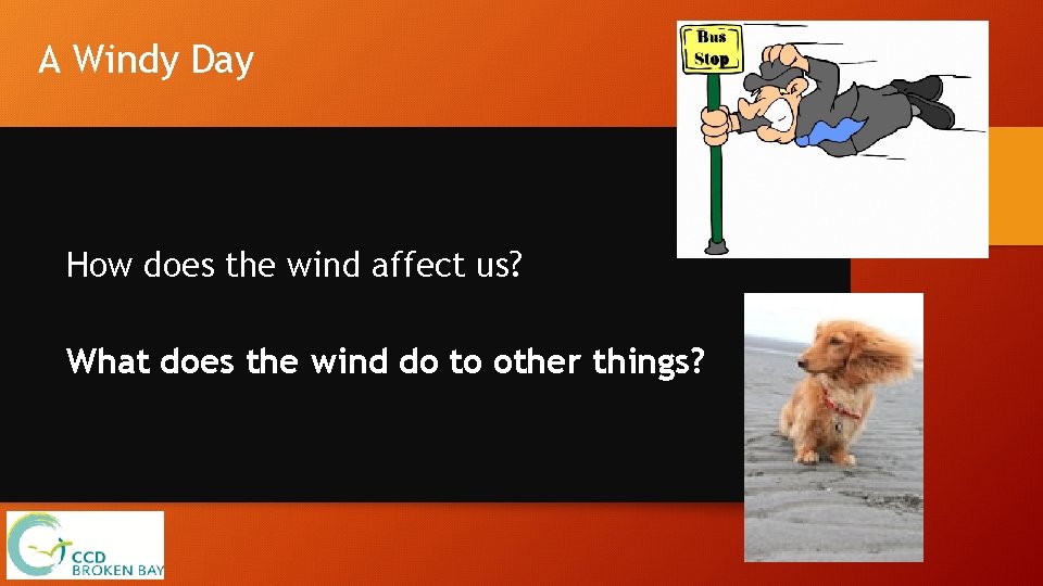 A Windy Day How does the wind affect us? What does the wind do