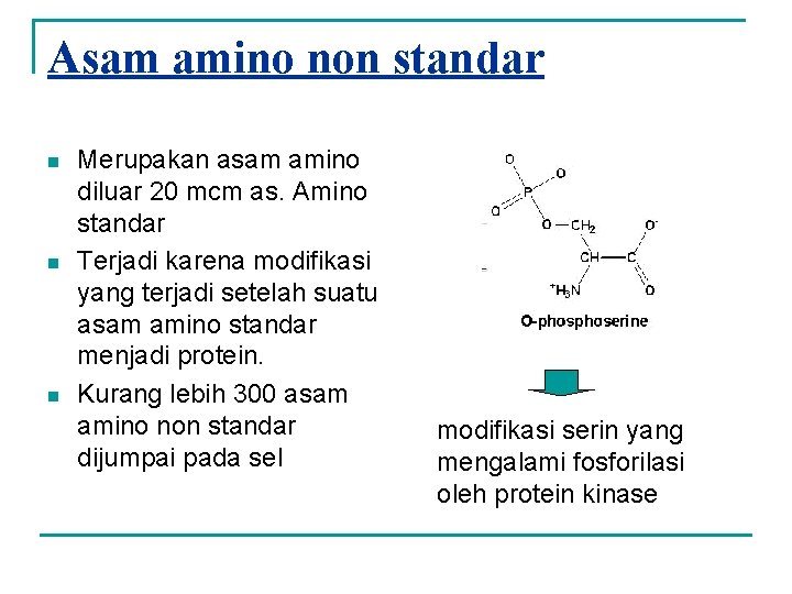 Asam amino non standar n n n Merupakan asam amino diluar 20 mcm as.