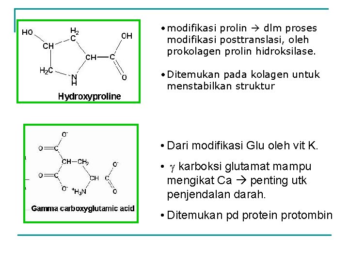  • modifikasi prolin dlm proses modifikasi posttranslasi, oleh prokolagen prolin hidroksilase. • Ditemukan